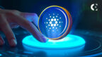 Cardano Whales Amass ADA Ahead of Anticipated Altseason