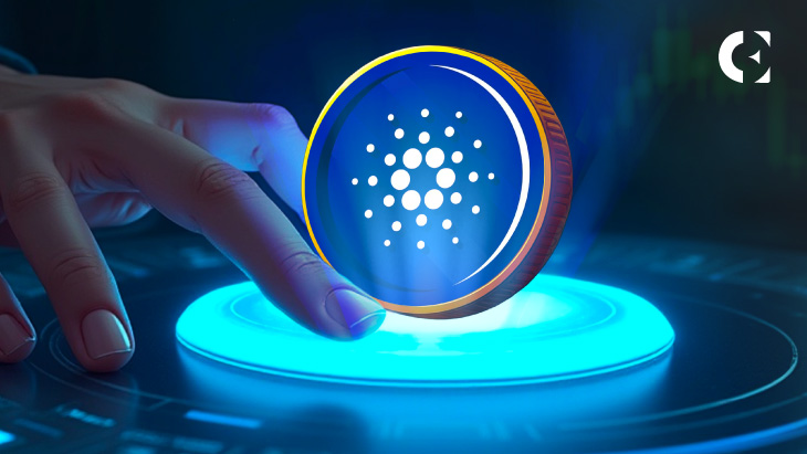 Cardano Whales Amass ADA Ahead of Anticipated Altseason