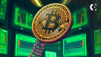 A Look at the Supply Squeeze That Sent Bitcoin to a New Record