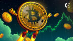 Crypto market cycle analysis comparing the current bull run to the 2017 Bitcoin rally and looking for the next top altcoin.


