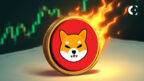 News and analysis of WallStreetBets founder Jamie Rogozinski's comments on the Shiba Inu (SHIB) token burn strategy and its effect on the SHIB price in 2025.