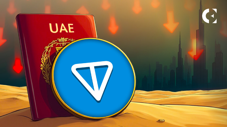 TON Price Tumbles After UAE Government Debunks Visa Rumor