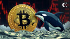 A Bitcoin whale's $2.7B sale triggers a $70M liquidation cascade, creating a key buying opportunity.