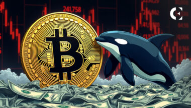 A Bitcoin whale's $2.7B sale triggers a $70M liquidation cascade, creating a key buying opportunity.