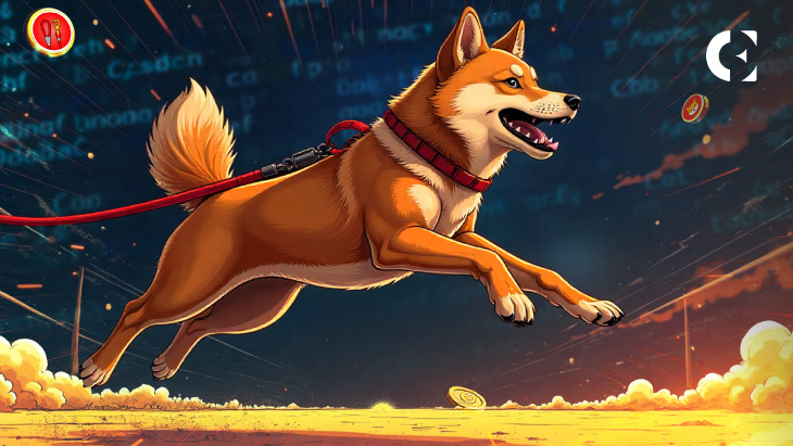 Shiba Inu Dev Uncovers LEASH Token Supply Backdoor