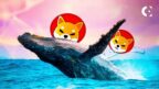 SHIB Whale Activity Spikes Despite Price Volatility
