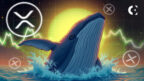 XRP Eyes Higher Levels as Whales Buy Big