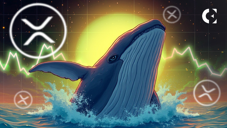 XRP Eyes Higher Levels as Whales Buy Big