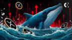 CryptoQuant on-chain data shows negative XRP whale flow activity, signaling a potential price correction.