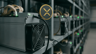 GMO Miner mining service provider: Launching Bitcoin mining rigs using XRP, earning $6,800 per day