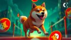 An analyst's Shiba Inu (SHIB) price chart shows a roadmap for a potential 570% rally to $0.000081.