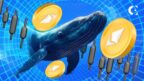 On-chain data shows a major divergence between the weak ETH price and strong accumulation by whales.