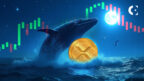 XRP whales are making a major move to break the "September curse" with massive on-chain accumulation.
