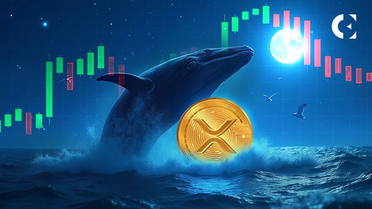 «Красный сентябрь» для XRP отменён? Киты продолжают активно скупать криптовалюту на спаде