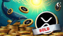 XRP price chart near $3 as whales sell 160M tokens and analysts monitor support levels