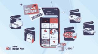 OwlTing Expands Into U.S. Gift Card Market with OwlPay Wallet Pro