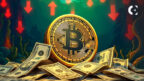 Bitcoin’s 4-year cycle ends as global liquidity now drives price.