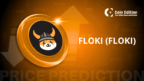 Floki Price Prediction