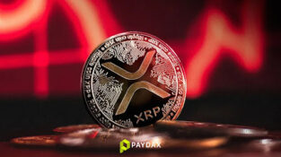 Press Release -Paydax Protocol