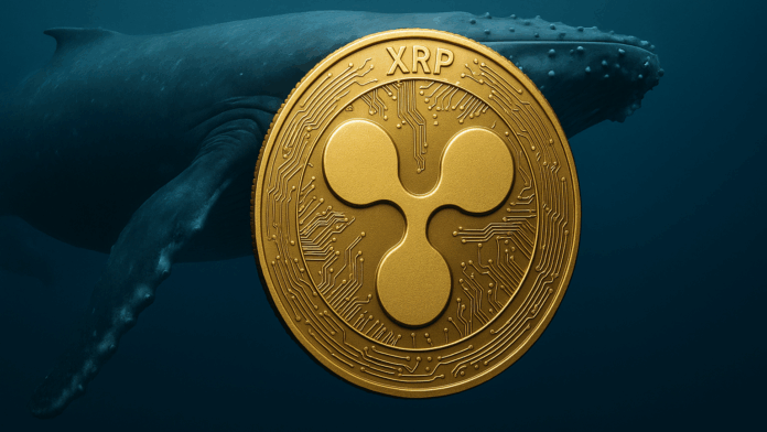 Whales add $1 billion to XRP, igniting a new bull run; DOT miners earn $10,000 a day