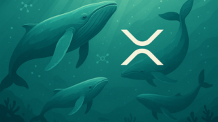 XRP vs Cardano: ¿Existen oportunidades mayores y mejores en el mercado?