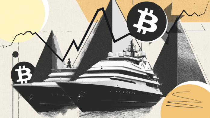 Bitcoin Investors Are Rethinking Variable Rewards as Market Conditions Shift