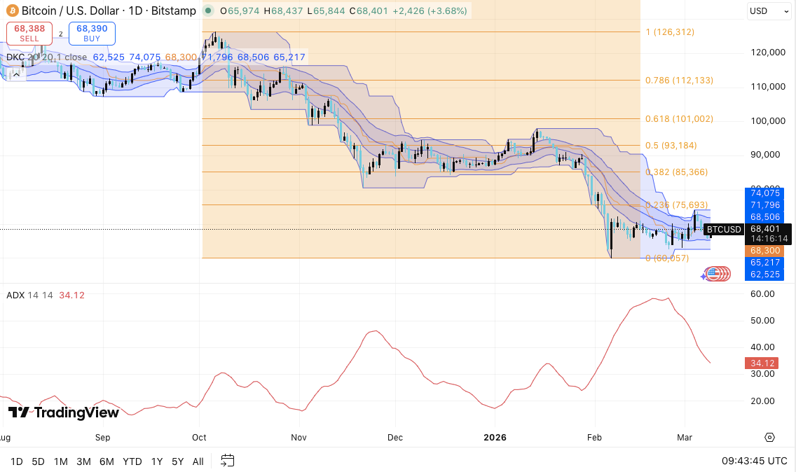Bitcoin Price Dynamics