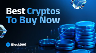 BlockDAG, NEAR Protocol, Solana, Zcash: The Most Popular Cryptocurrency Projects of 2026 Compared