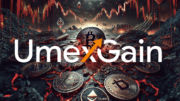 Umex Gain: The Benefits of the Company’s Personalised Approach