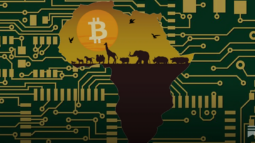 The Rise of Utility-Driven Crypto: How Africa Is Redefining What Digital Assets Are For