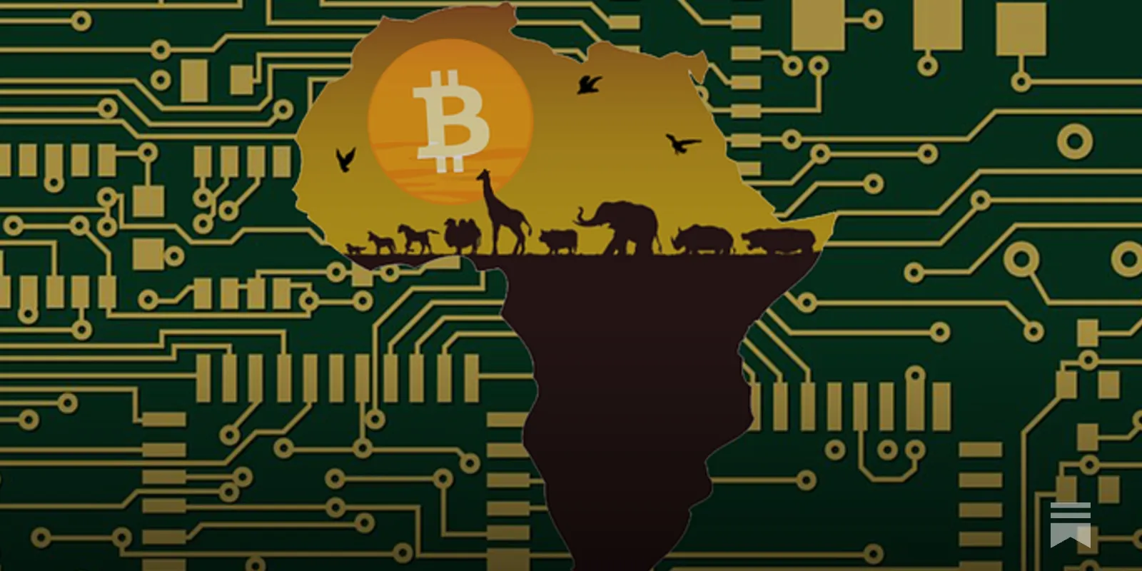 The Rise of Utility-Driven Crypto: How Africa Is Redefining What Digital Assets Are For