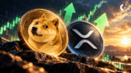 Santiment Sees Dogecoin as a Major Opportunity and XRP as a Potential Buy